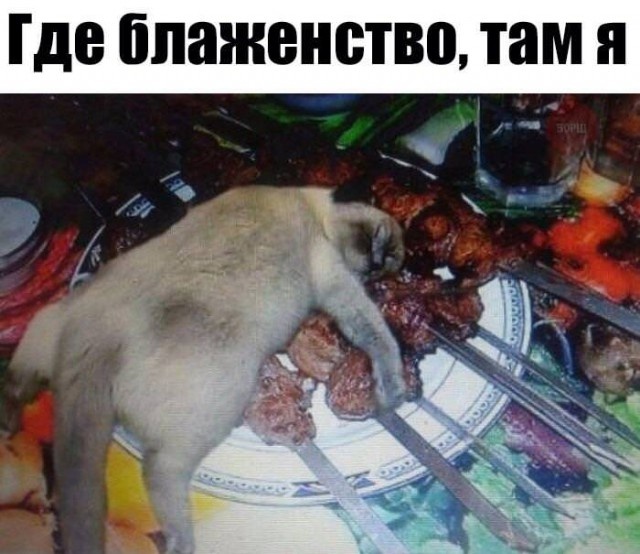1558488416_kartinki-33.jpg
