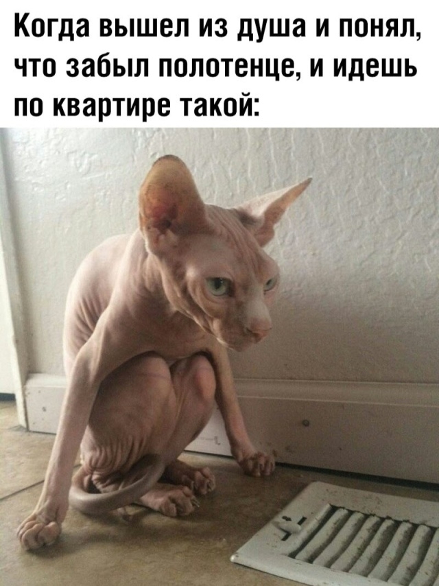 1560204511_00.jpg