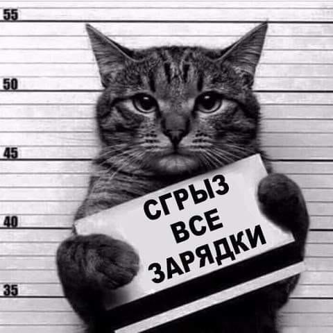 1563477340_bugaga-2.jpg