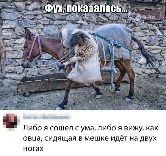 1565850488_0001.jpg