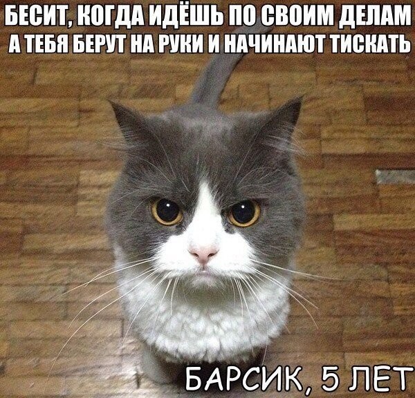 1573822160_kartinki-18.jpg