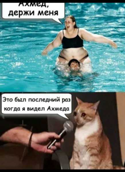 1580549370948.jpg