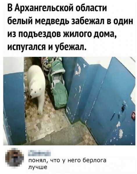 1581232777127.jpg