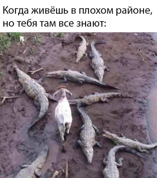 1583869602_0001.jpg