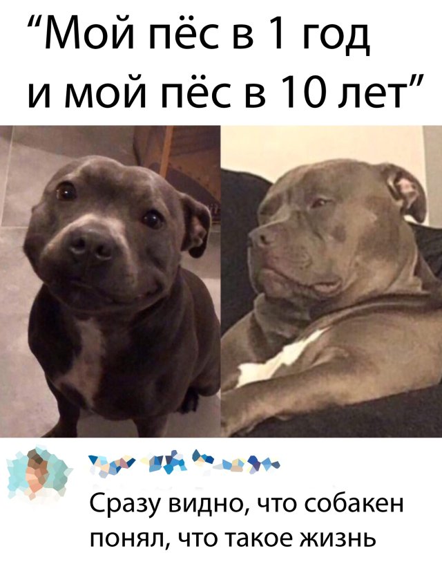 1584992806_0030.jpg