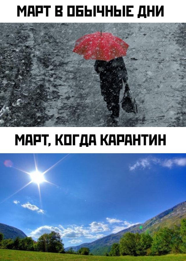 1585167779_0001.jpg
