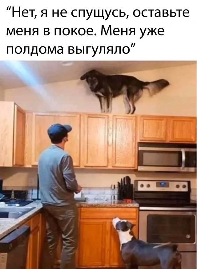1585804990_0032.jpg