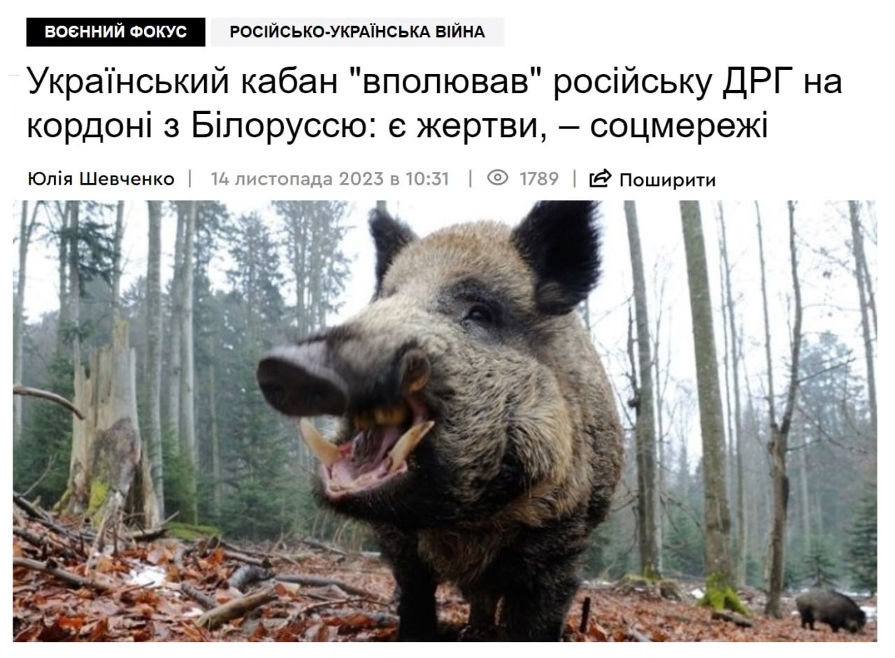1585F451-030A-471C-AC5E-B0DCBCCDFE5A.jpeg