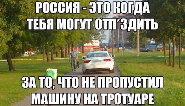 1587121236_14218448.jpg