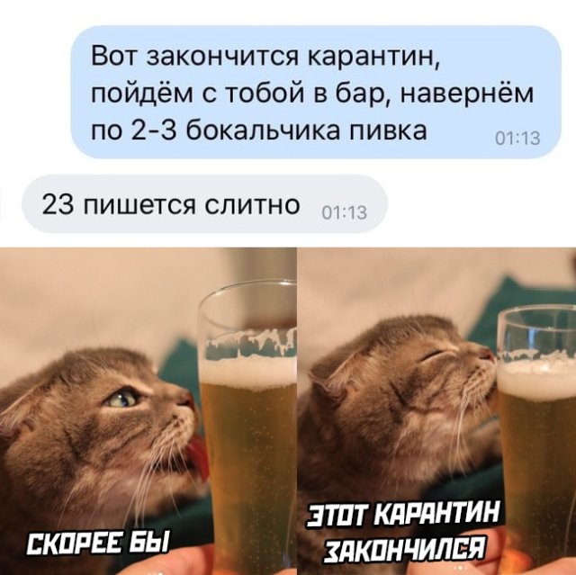 1588218694_0001.jpg