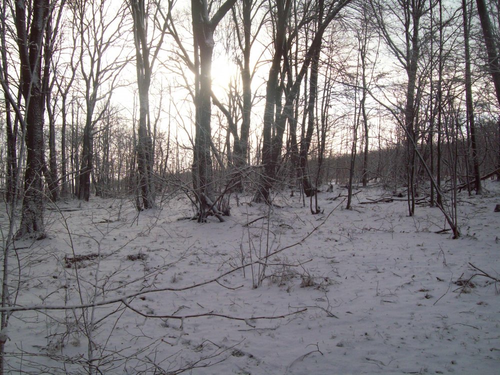 159_3426.JPG