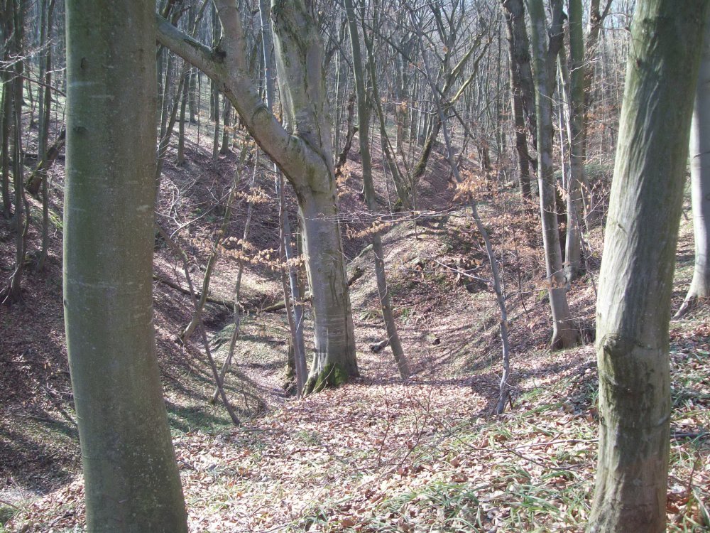 159_3964.jpg