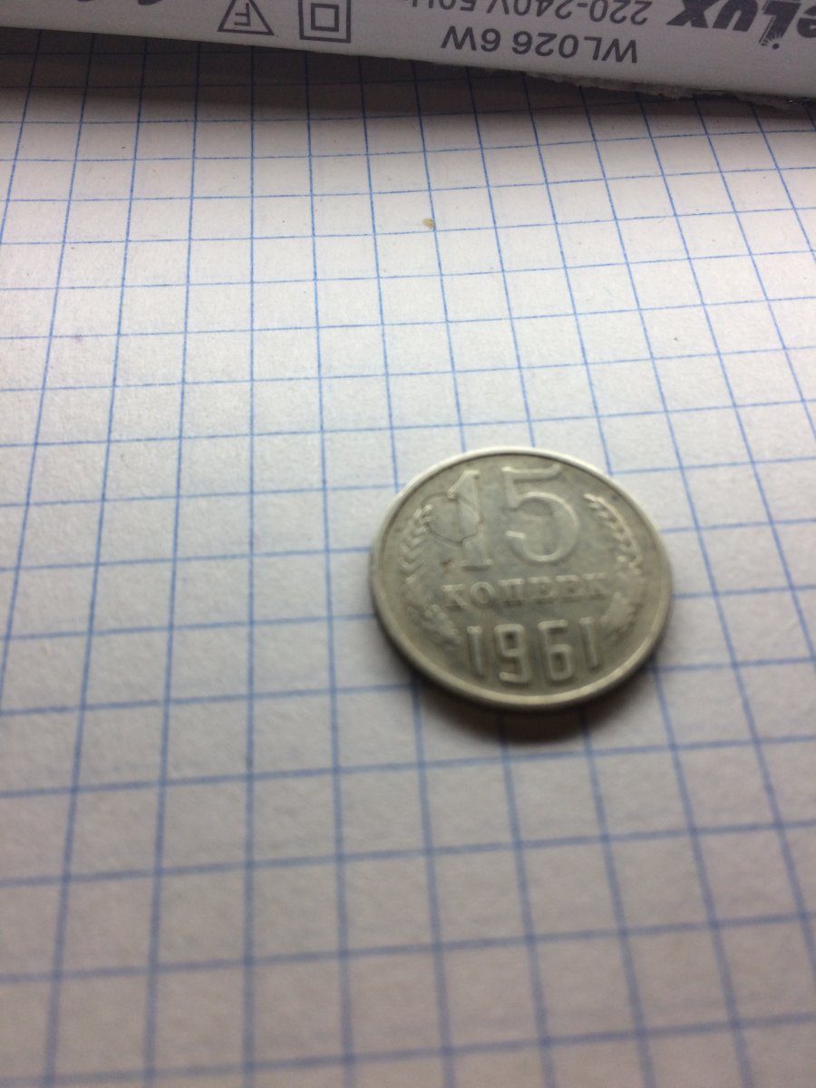 15_5.jpg