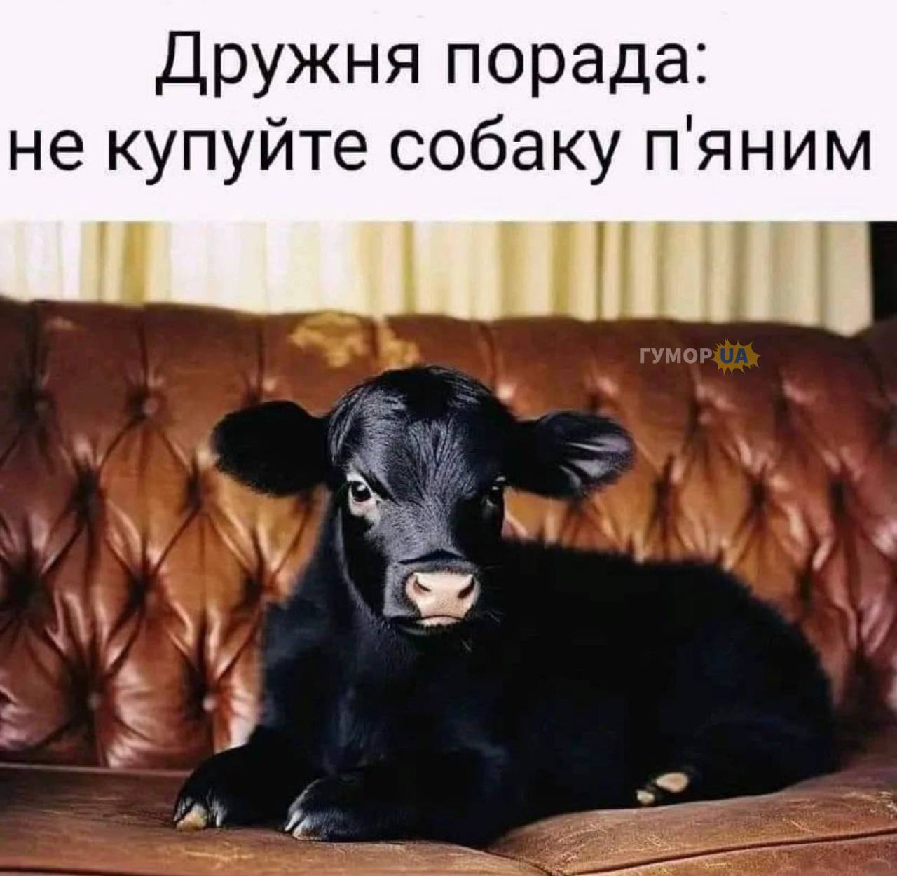15F84F26-3105-471A-B5AB-957F4A4190E6.jpeg