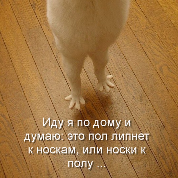 16. Пол.jpg