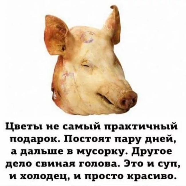 1615261365116556310.jpg