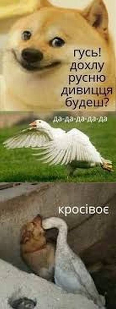 1651173459984.jpeg