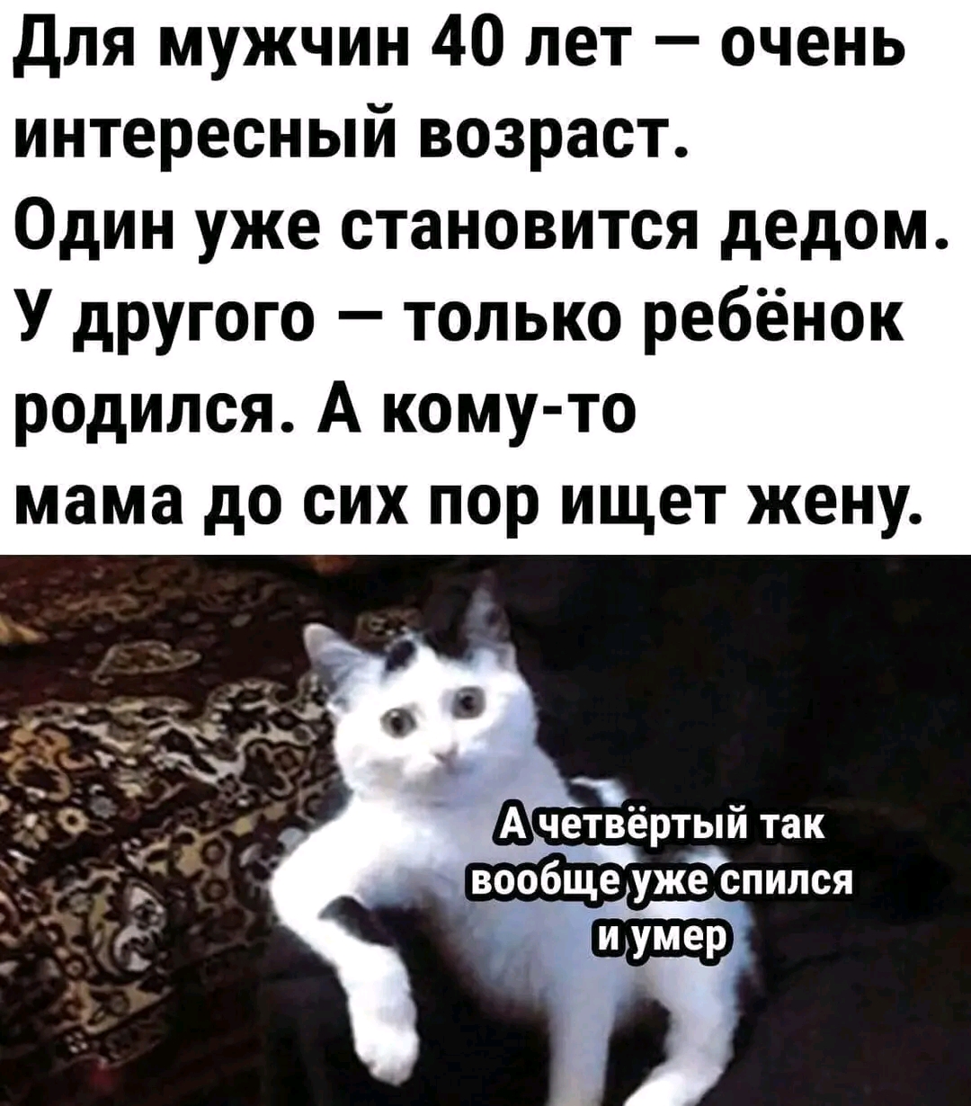 1669060047891.jpg