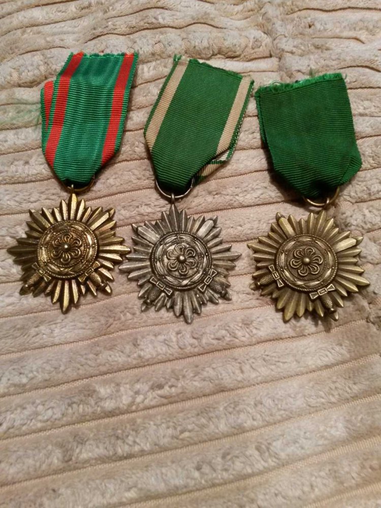 1677416.jpg