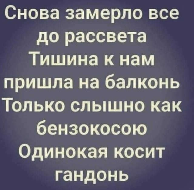1711820275168279307.jpg