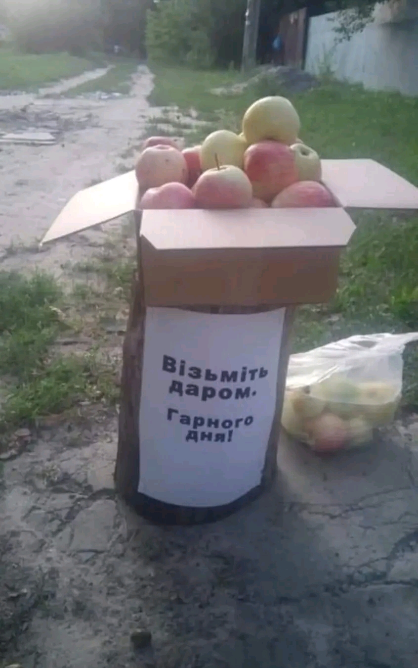 1727554959184.jpg