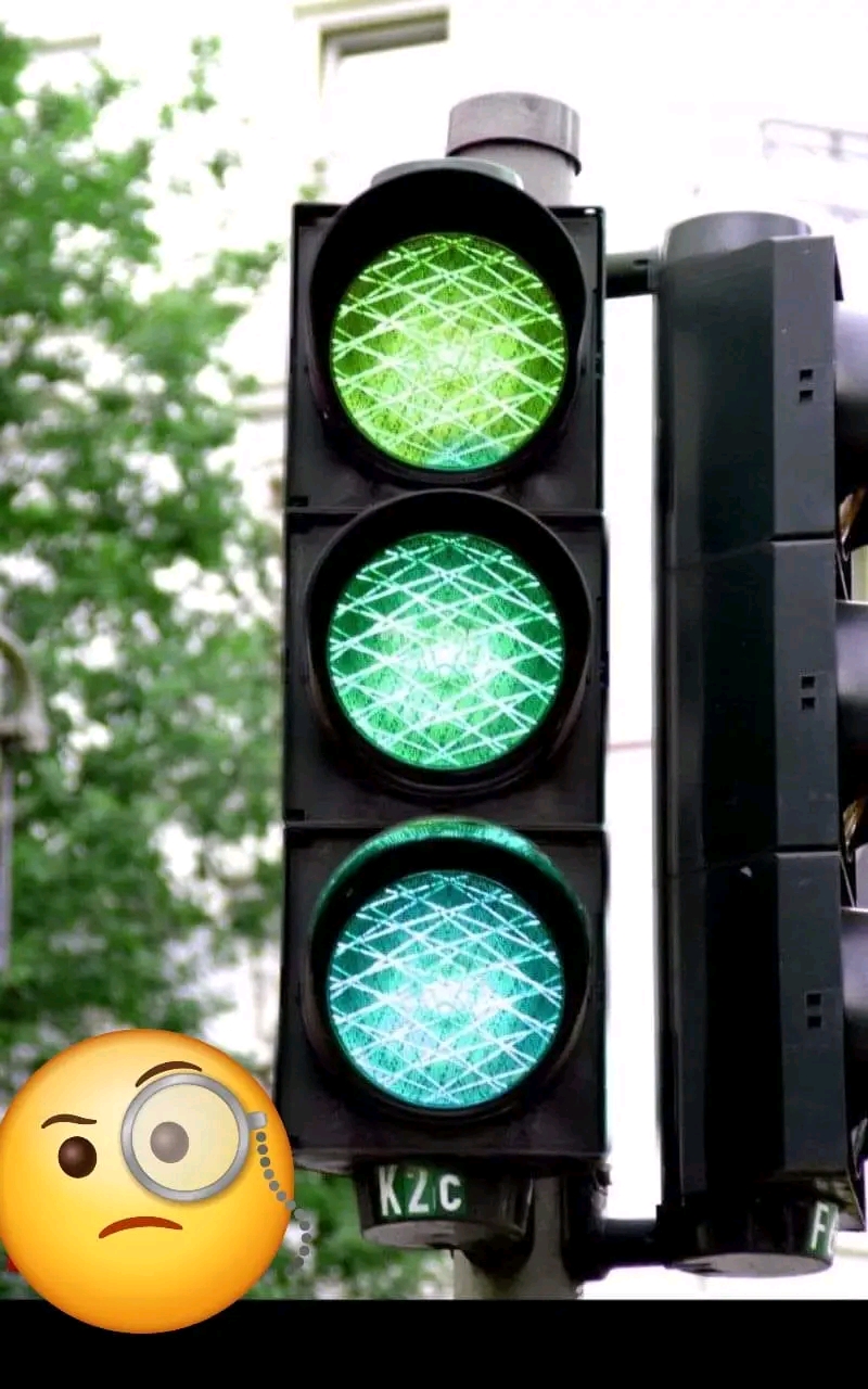 1733680769498.jpg