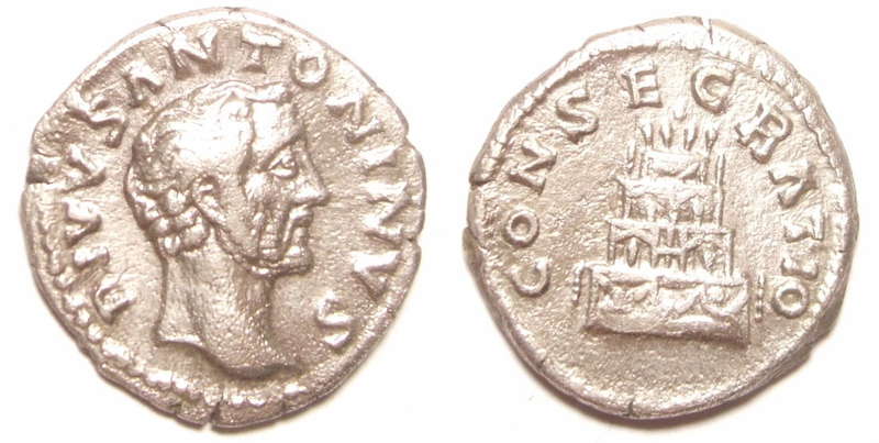 1793079.jpg