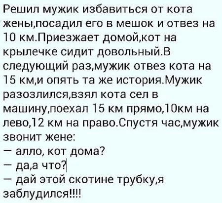 18. Кот.jpg