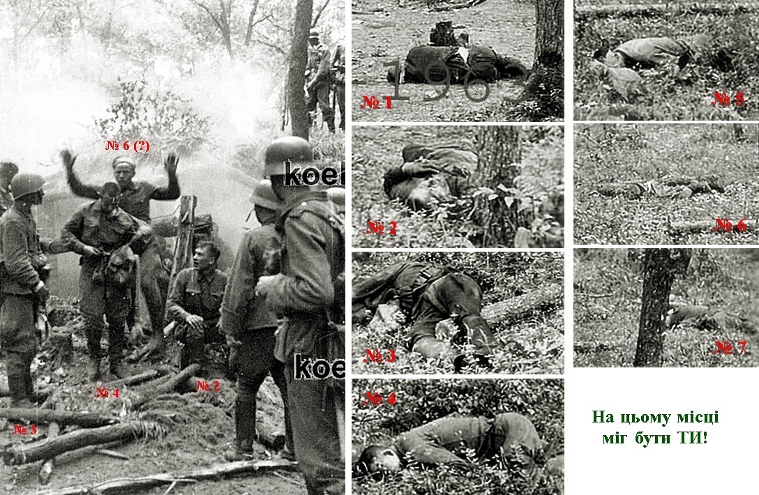 183-2.jpg