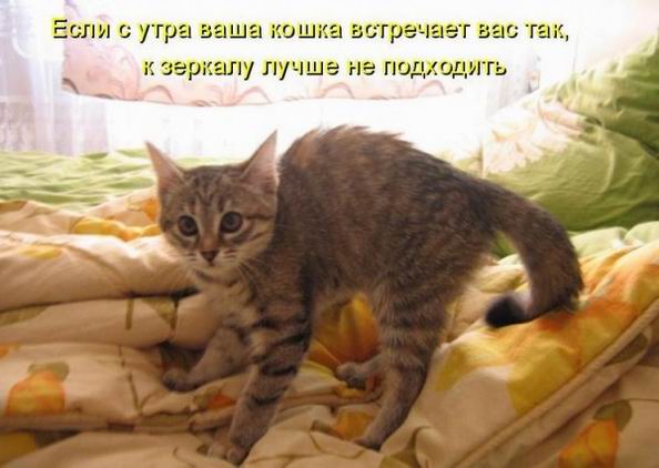 183964_403348.jpg