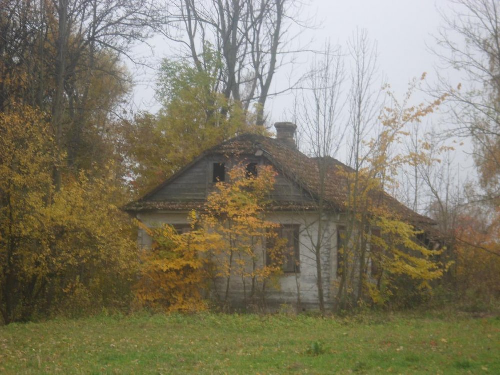 187724_1381761212.jpg