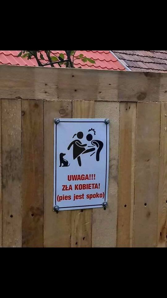 190772679_141991291308792_5785684640923027352_n.jpeg