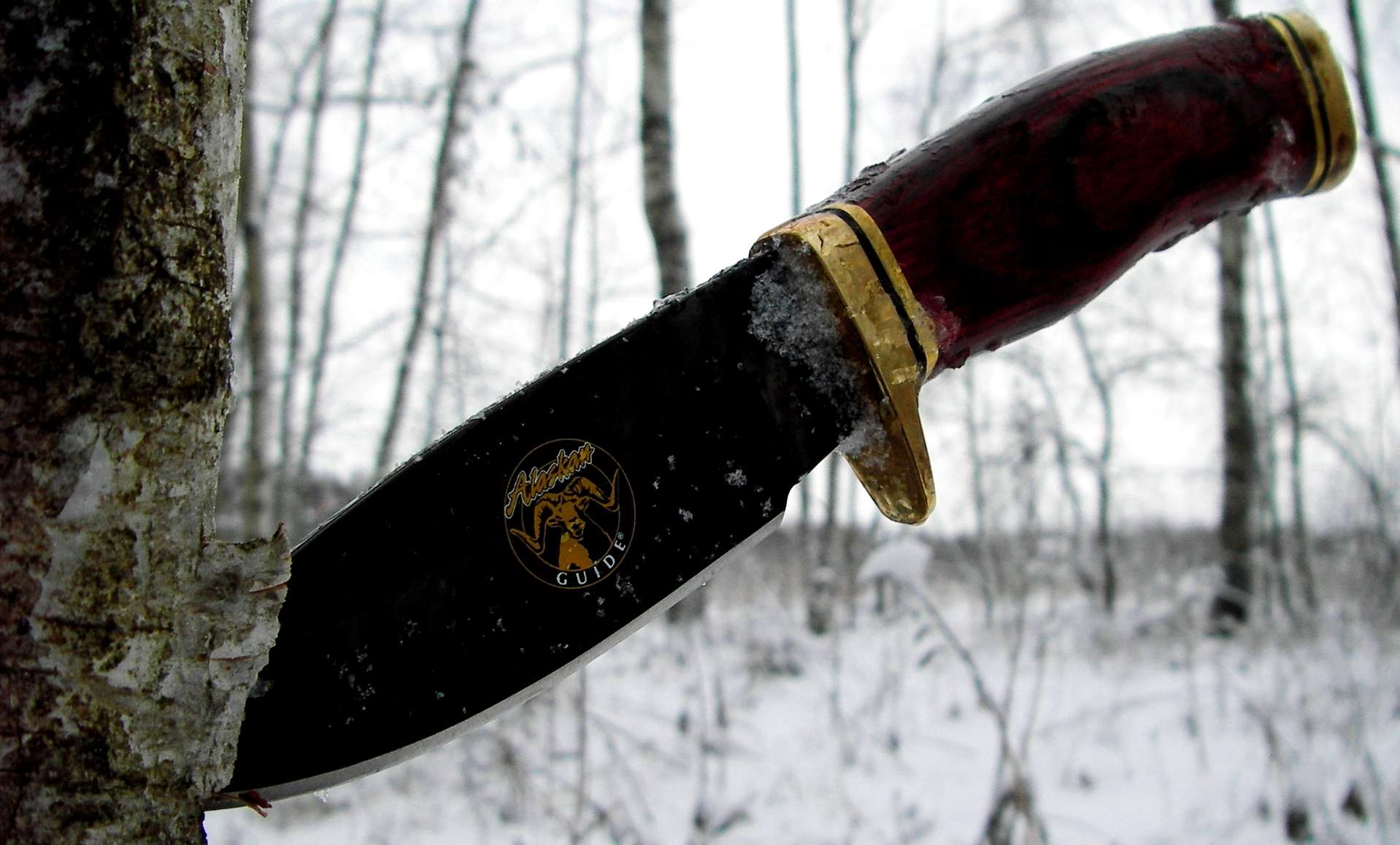 192й.jpg
