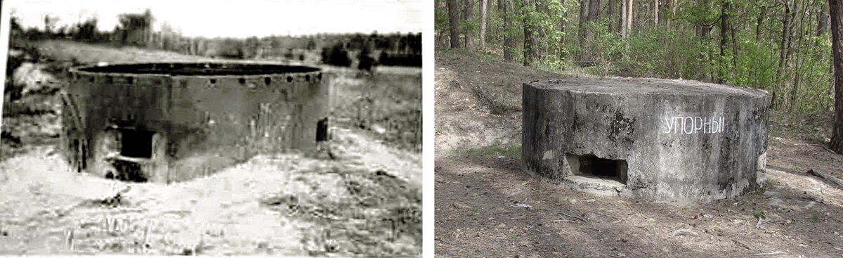 1941 - 2024.jpg