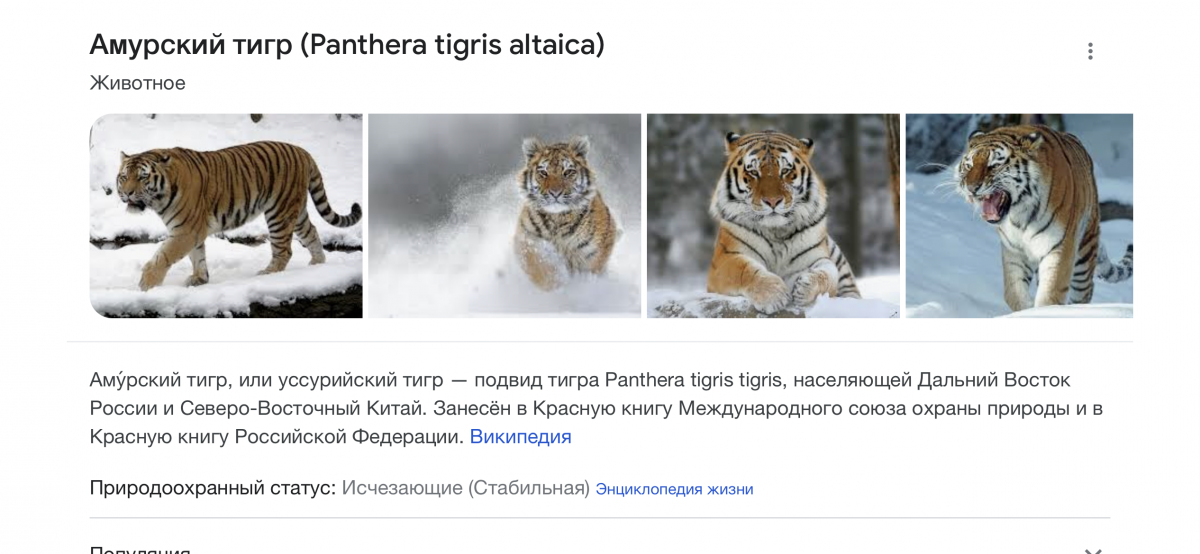 19C216F8-EC7D-4D81-806C-839C2D13C43E.png