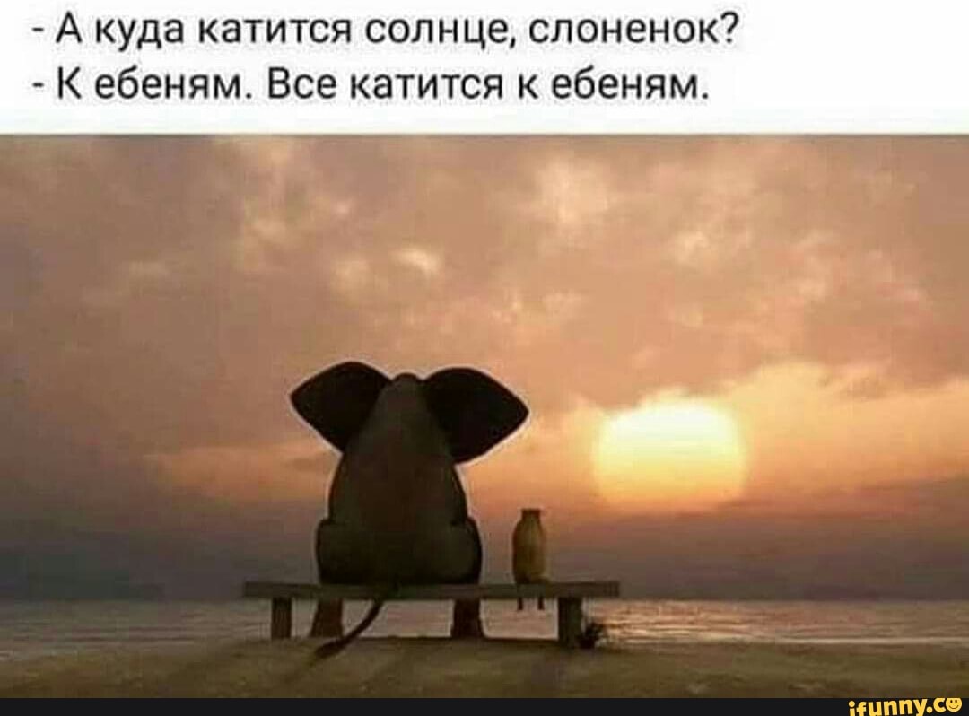 1_1.jpg