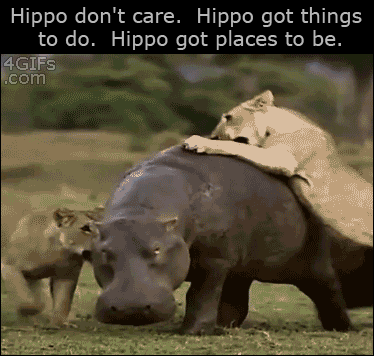 1A4E2CDE-4B51-4DBA-911B-EEAF9B55DA0E.gif