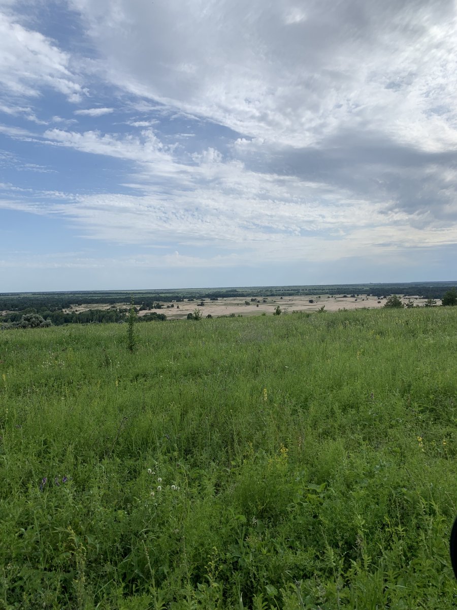 1C91644B-6C0E-469F-8282-B075168D4017.jpeg