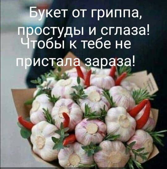 1e66aac3a53b68d705a587a0f3d3494d.jpg