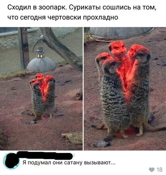 1e6be5c60b5c21c28b912e8d4e66e27c.jpg