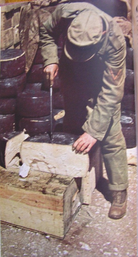 2.JPG