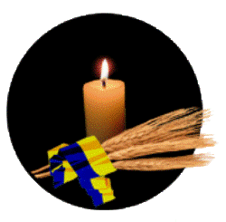 20101126122707_1l.gif