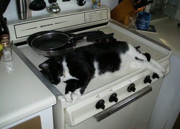 20120815151408.jpg