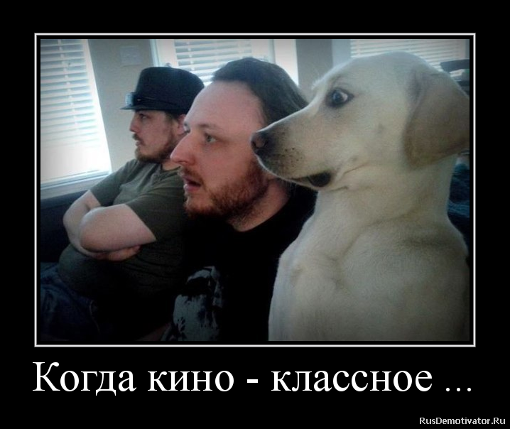 2012111518215517.png