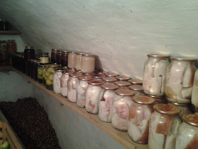 20121129_113630.jpg