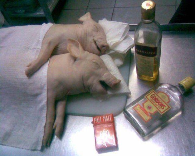 2012_05_15_11_08_140045_1.jpeg