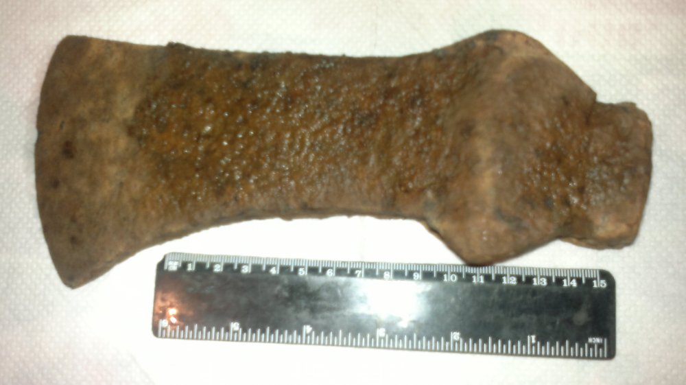 2013-03-31-264.jpg
