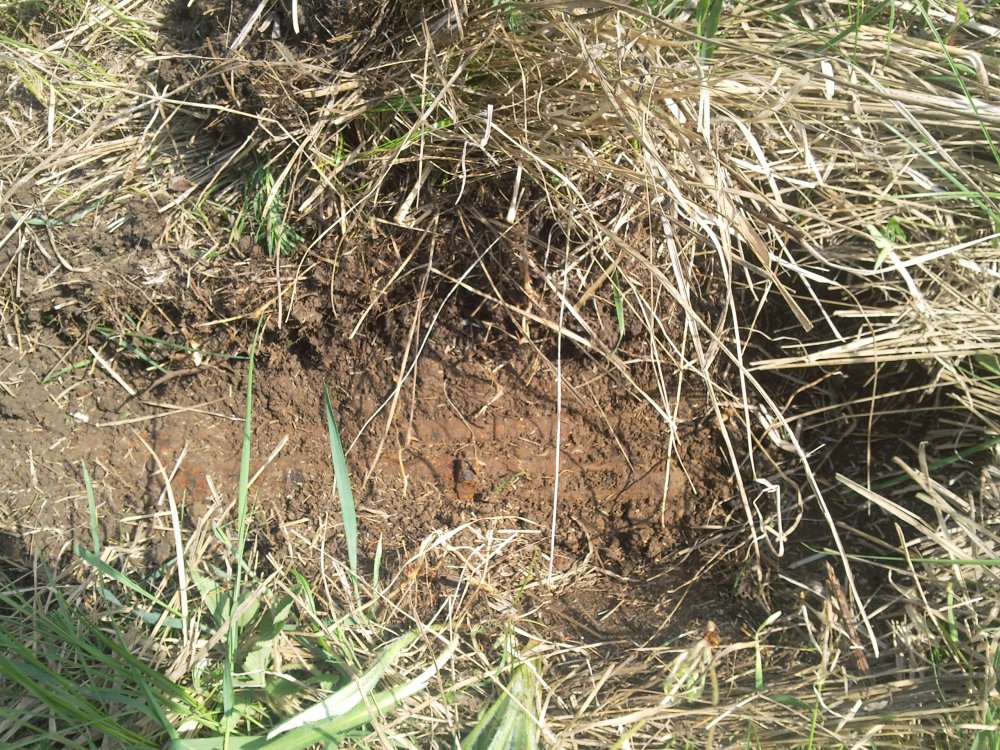2013-05-05 14.09.25.jpg
