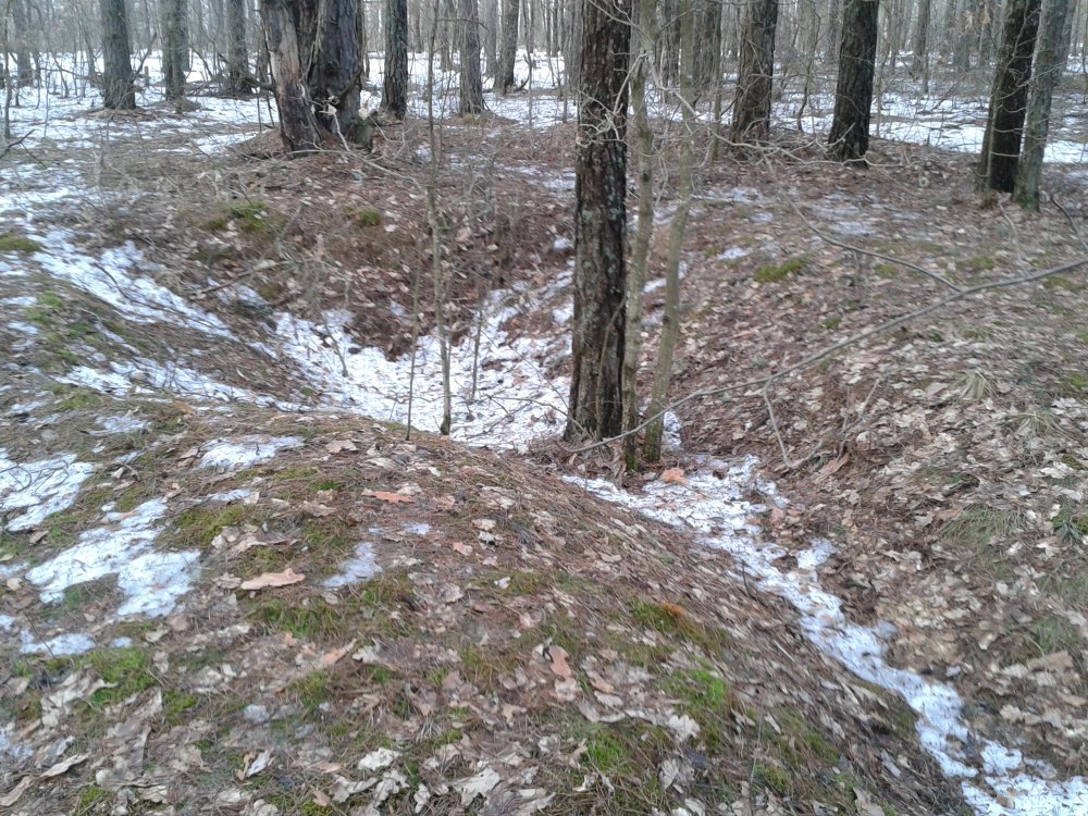 20130414_182813.jpg
