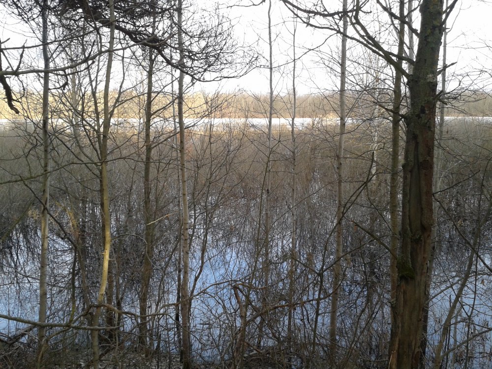 20130414_183427.jpg